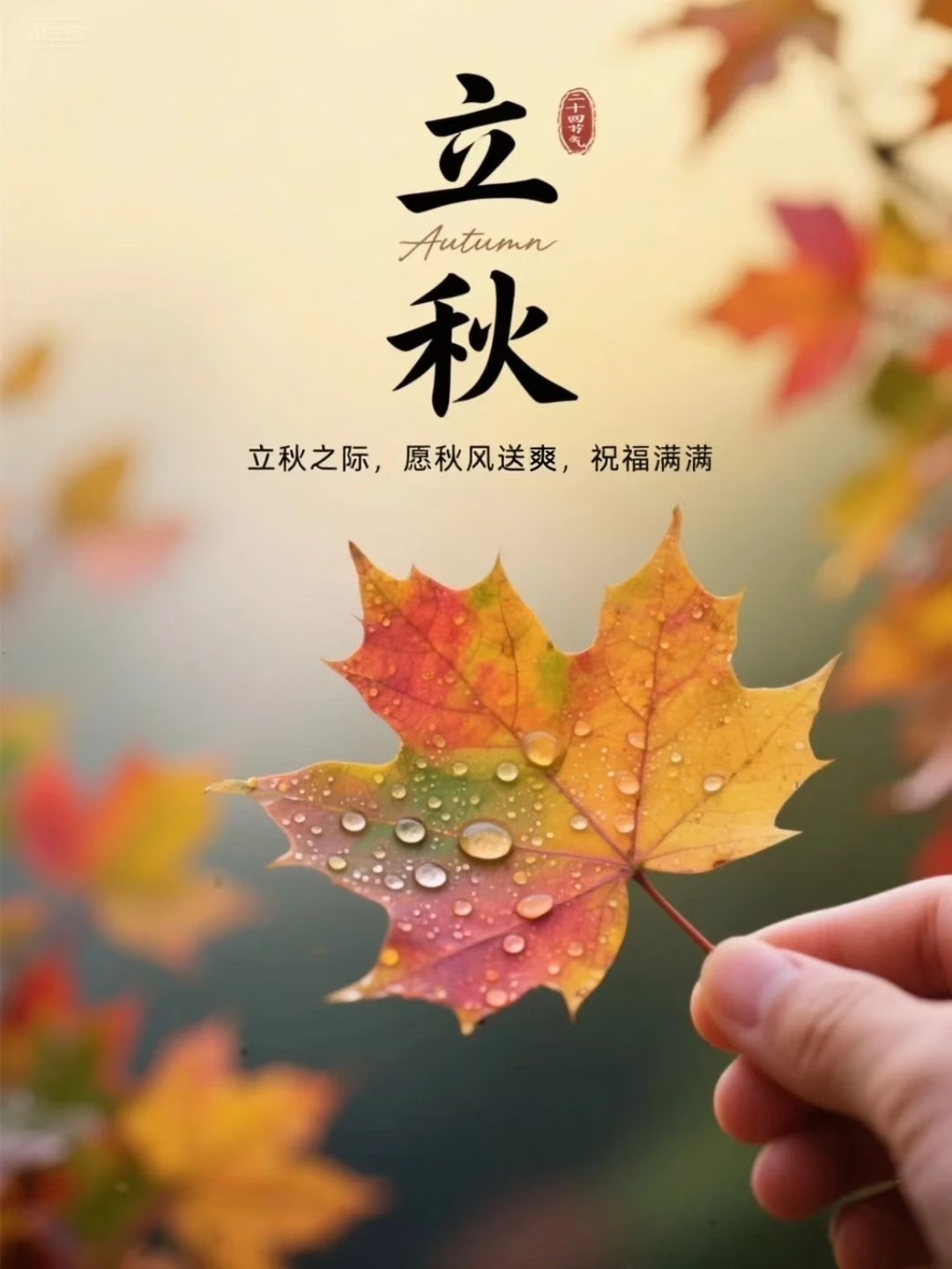 菲飞💕小可爱主播图片
