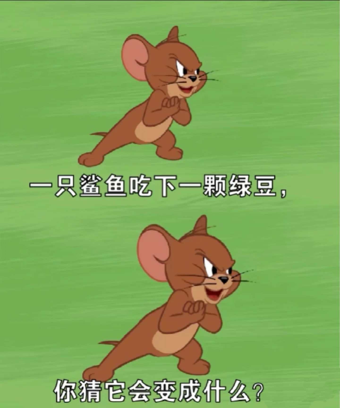 五月代理❀自动秒返主播图片