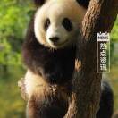 孟满林