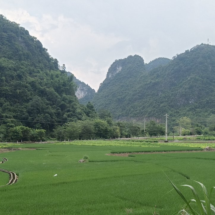 呱呱呱谁叫谁是大青蛙海报