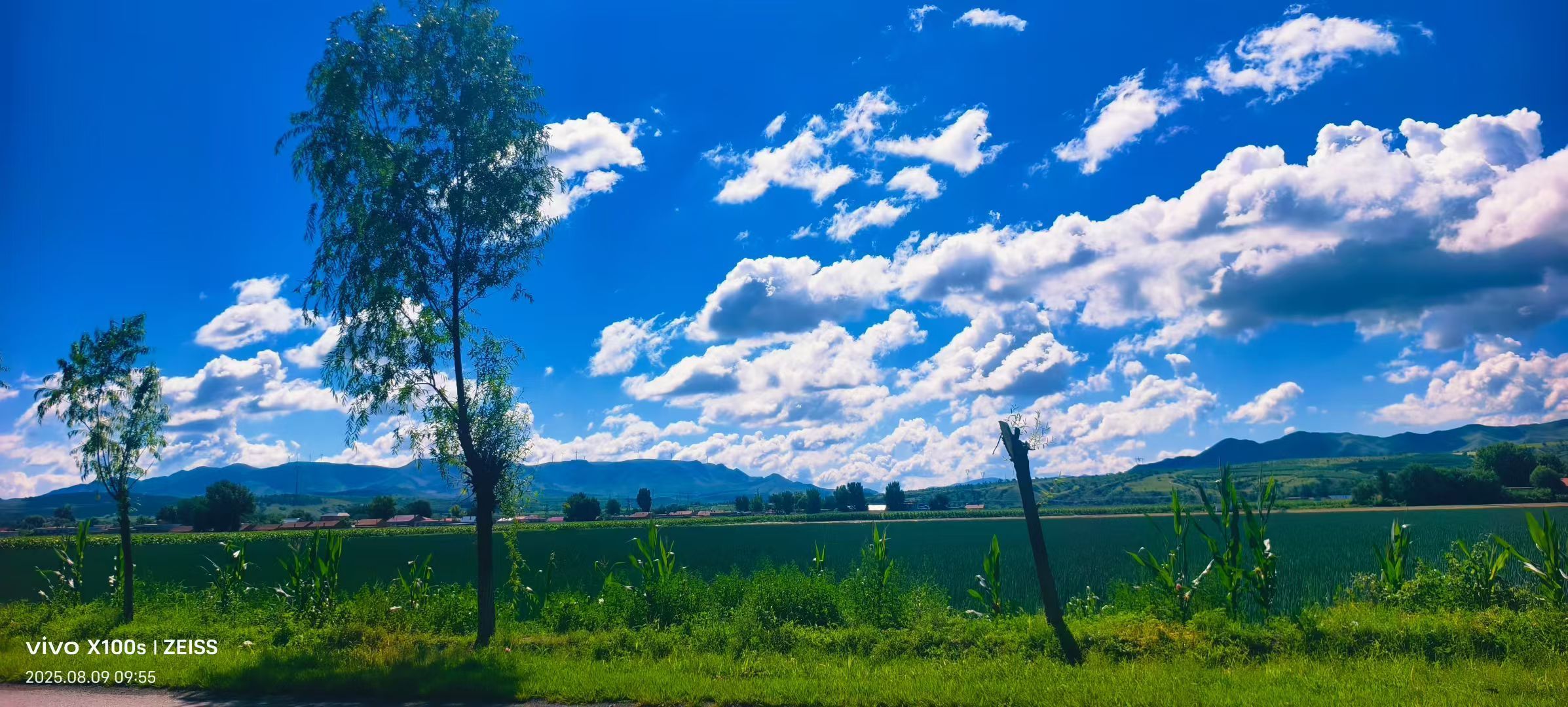 妞妞骑行宁夏银川的图片
