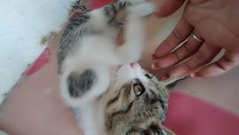 つ开心ご主播照片