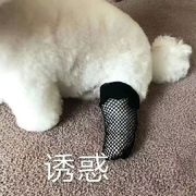 昵称违规，请重新修改