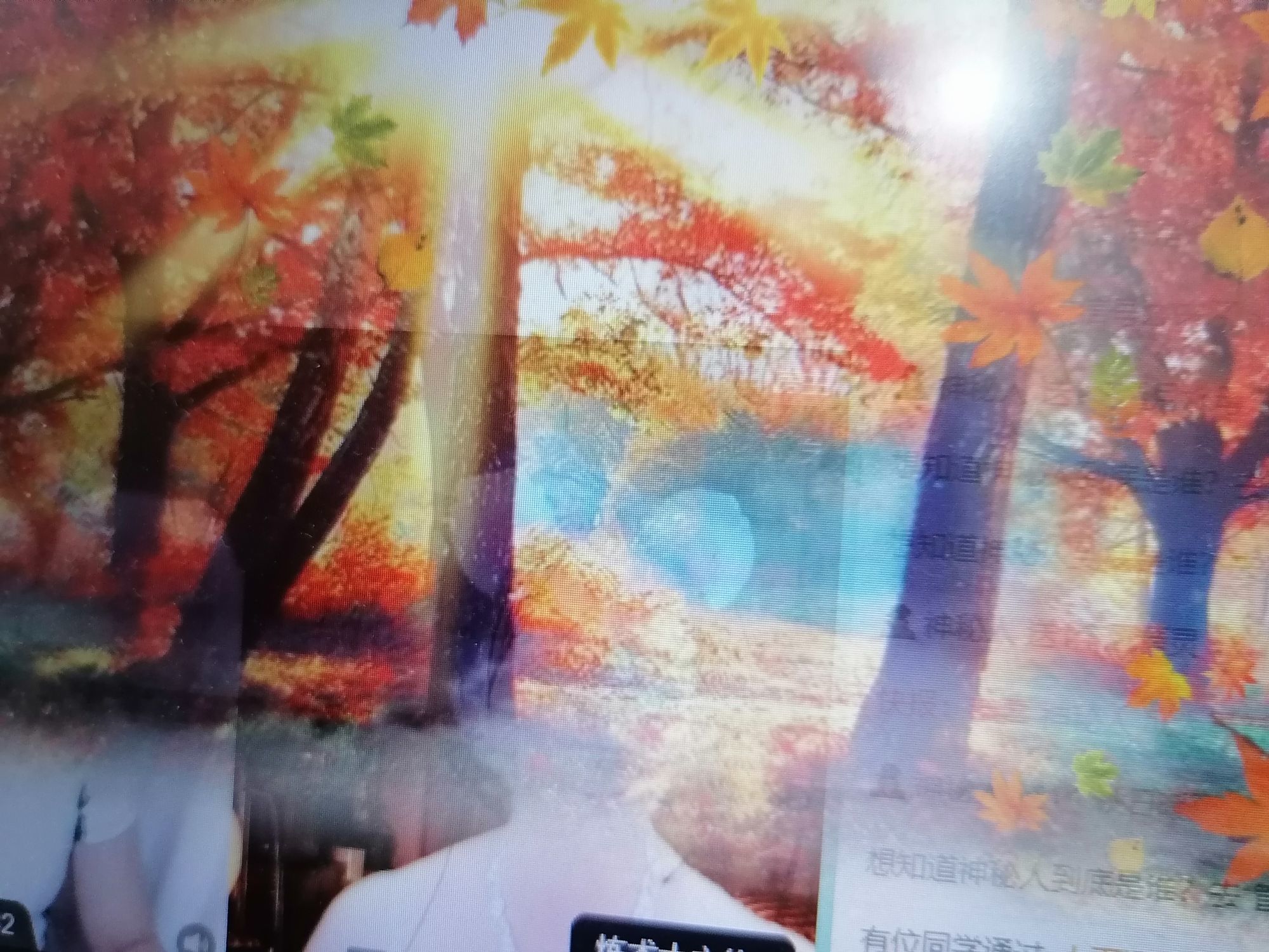 疯小鸭🍑愿有一束光主播图片