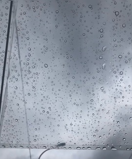 月月🧸家有事休主播照片