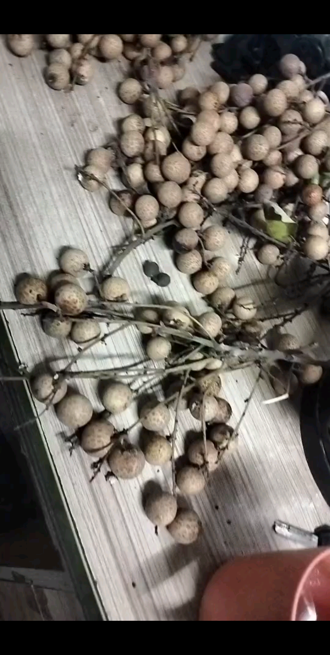 这小玩意有点小甜