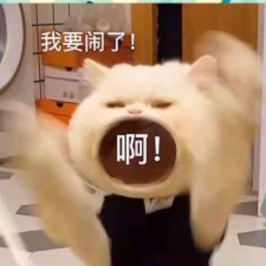 CD娱乐海报