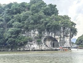 ☜花香染晨☞主播照片
