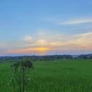 liaog0