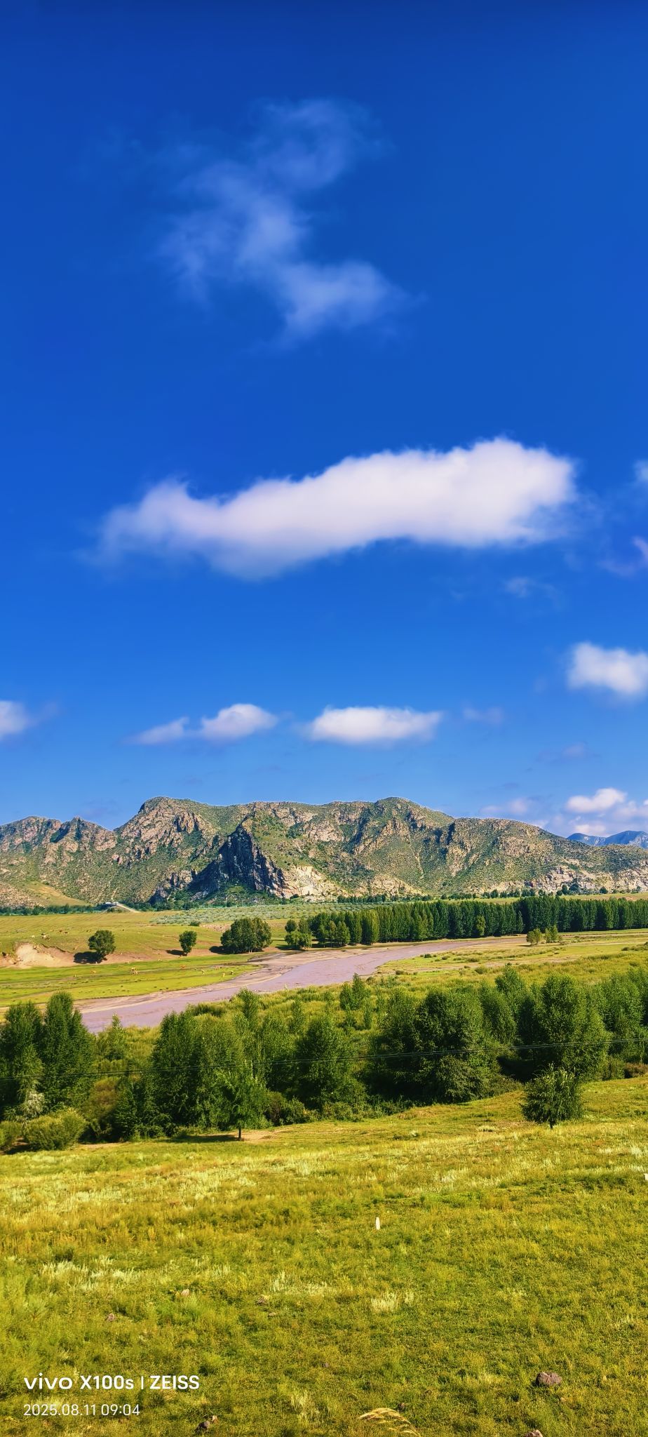 妞妞骑行宁夏银川主播图片