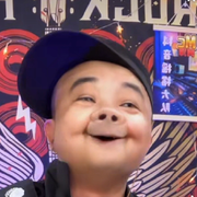 叶落禾城海报