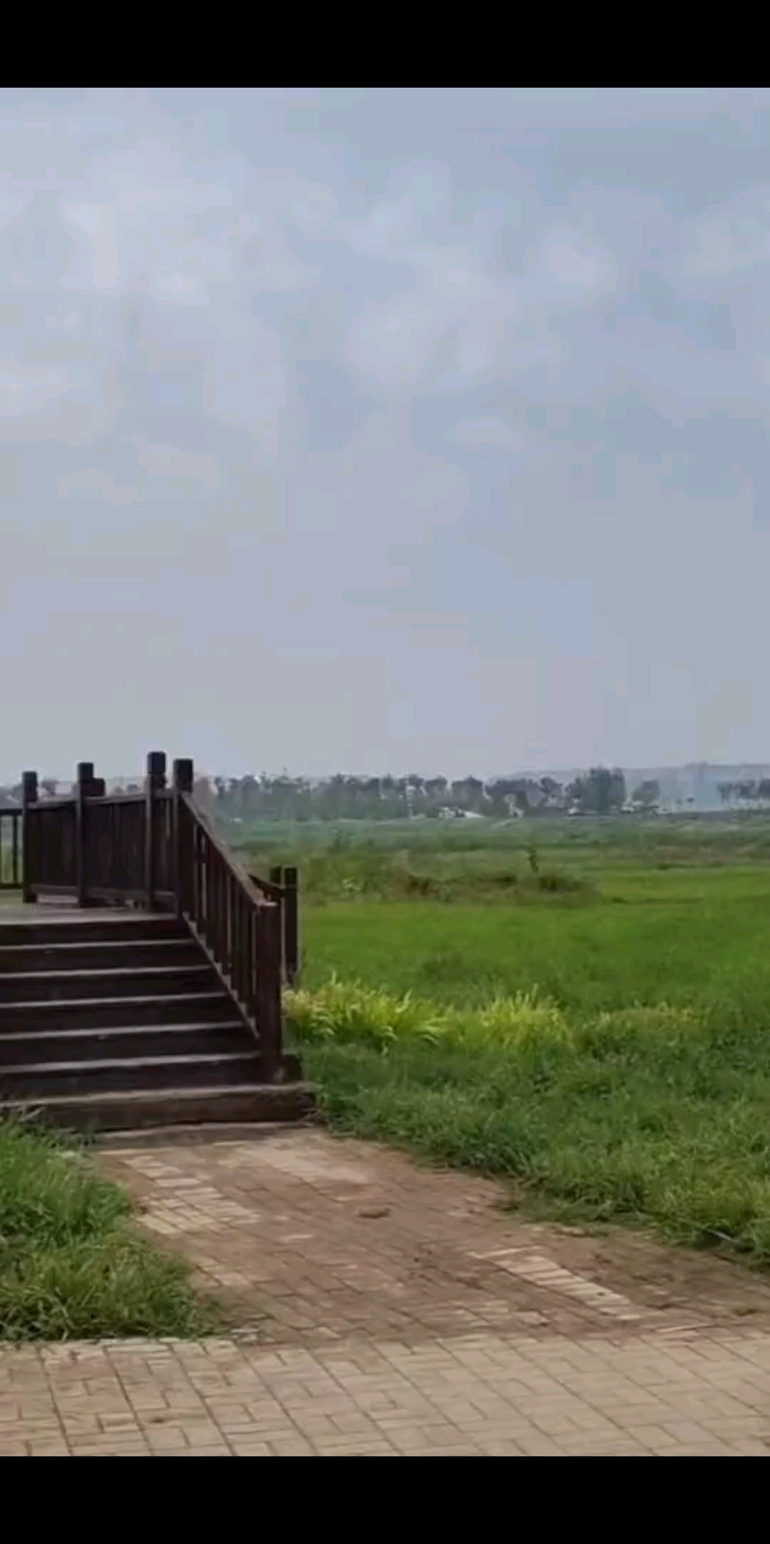 汾河边的风景像极了身