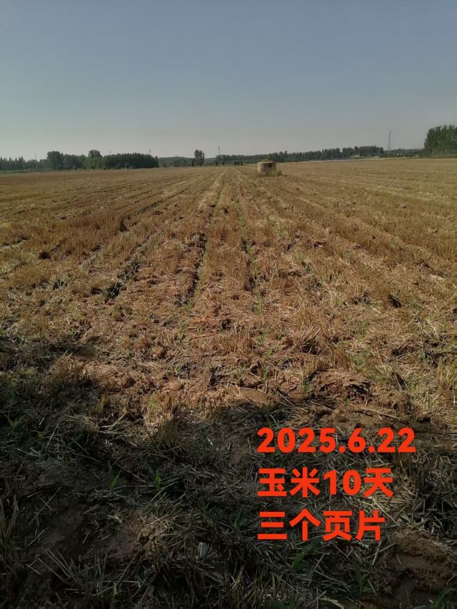 荣潍集团张总主播图片