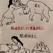 深圳白嫖有限公司头像