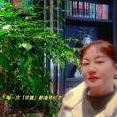 一顺百顺um