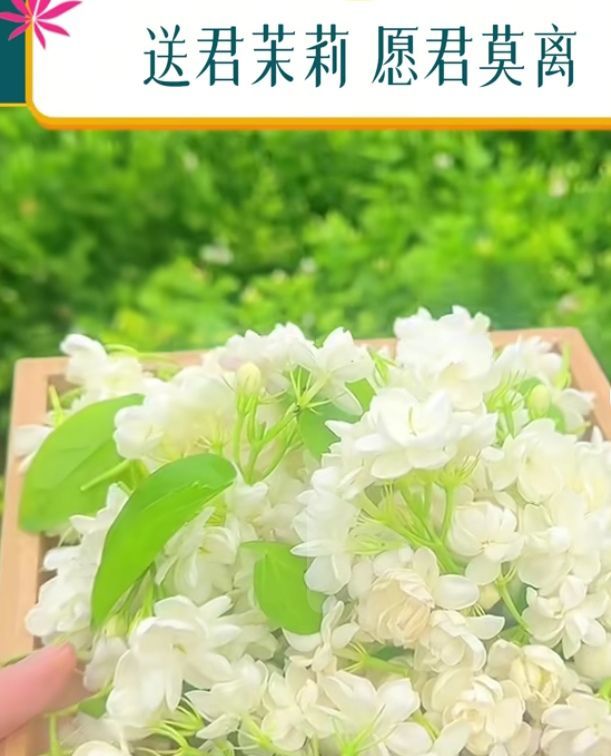 爱笑🌺幸福甜蜜蜜的图片