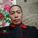 郑晨ch
