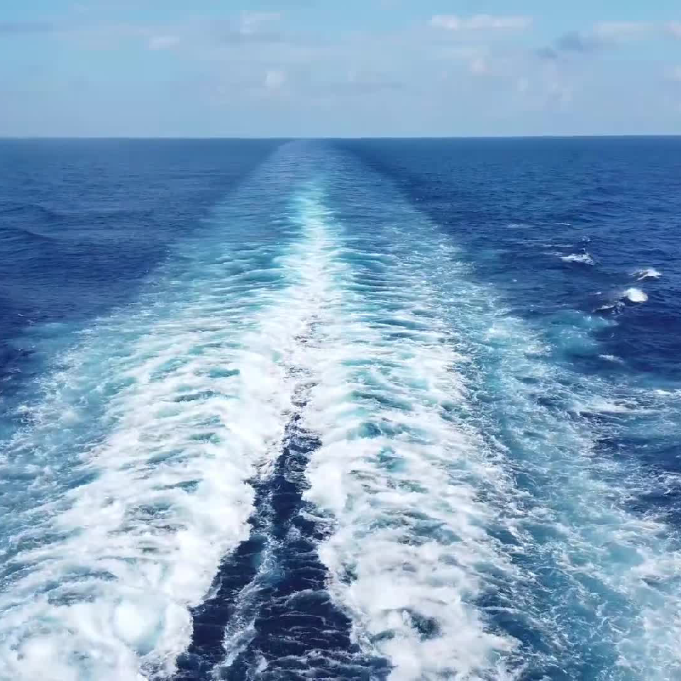 我心永恒w7c海报