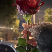 💘柒柒💘