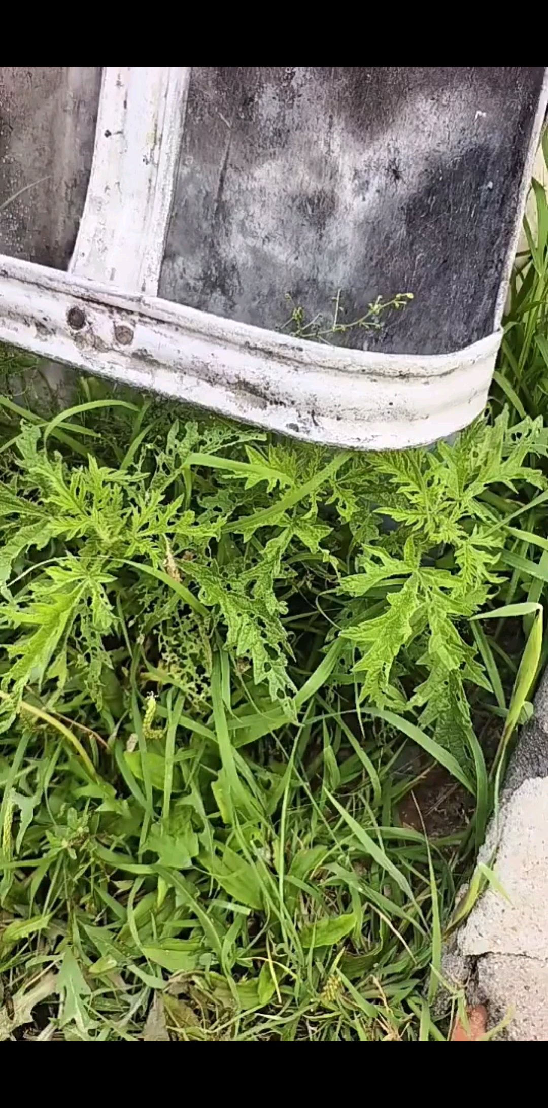 户外几年第一次遇到哲