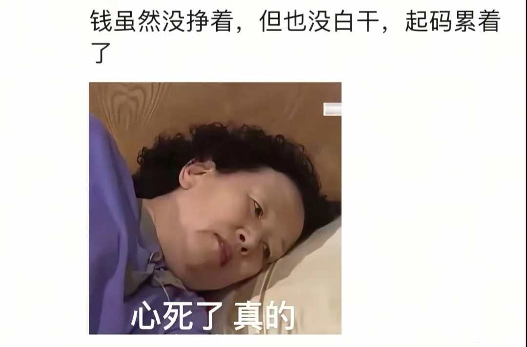 五月代理❀自动秒返的图片