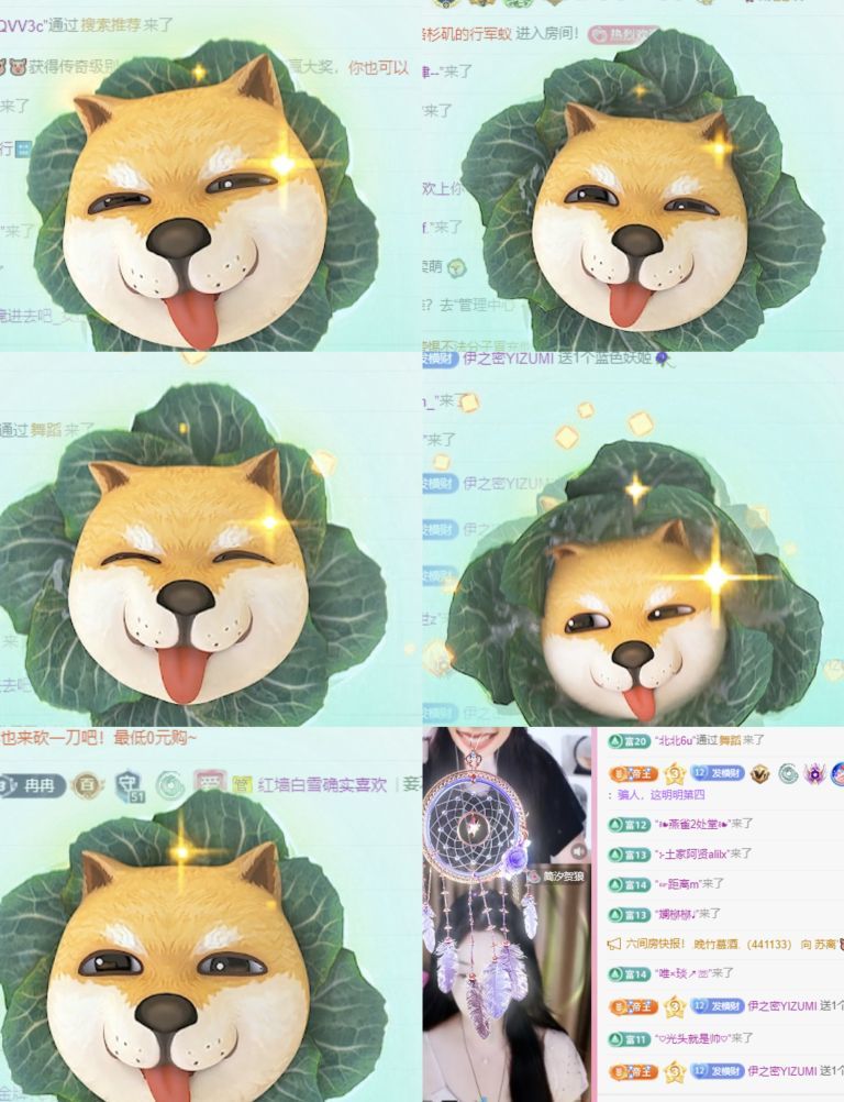 冉冉🍀好运来的图片