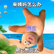 只看不刷oop