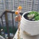 轻轻回眸