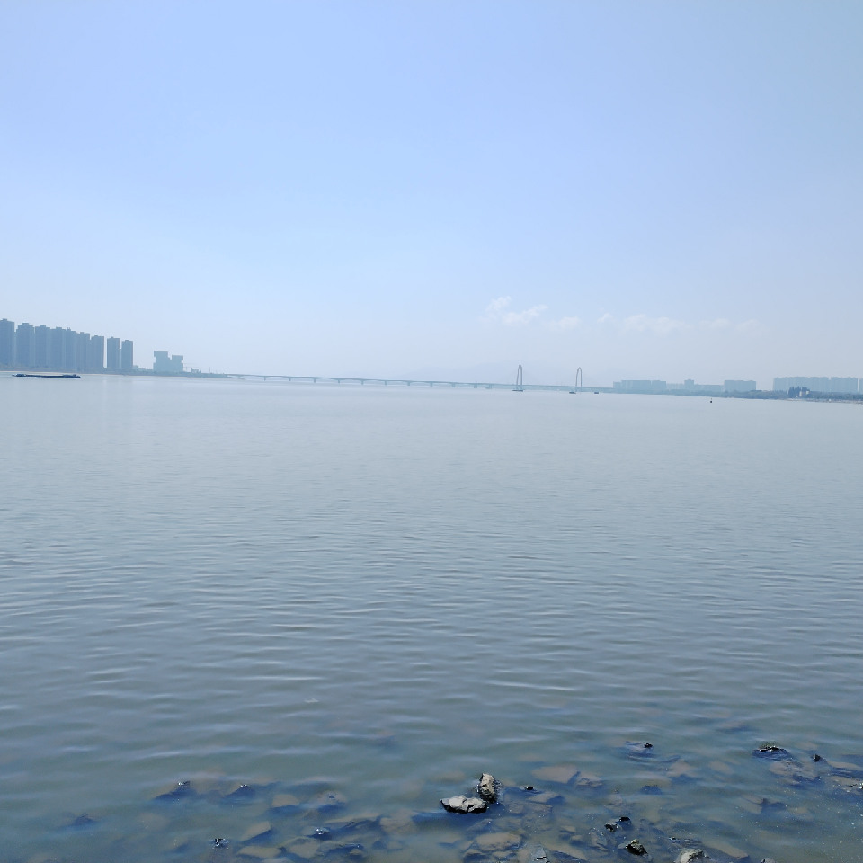 阳光之巅@海报