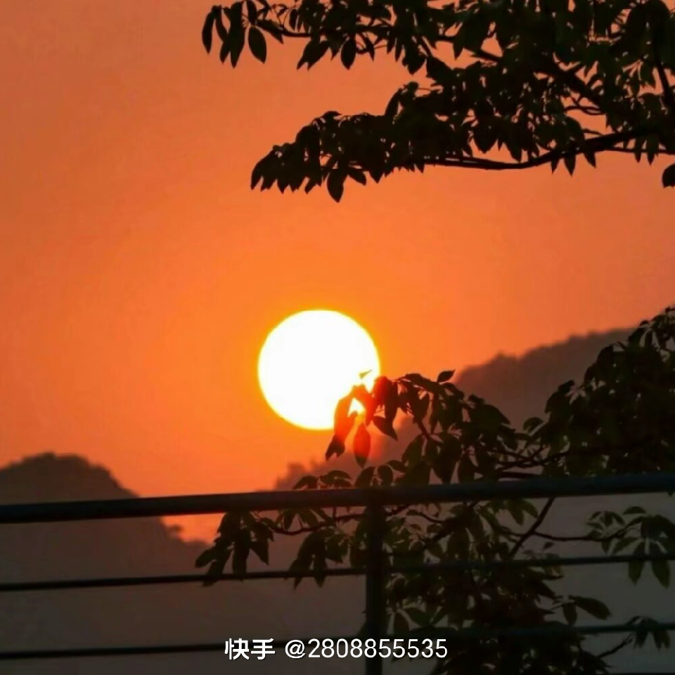 未来可及海报