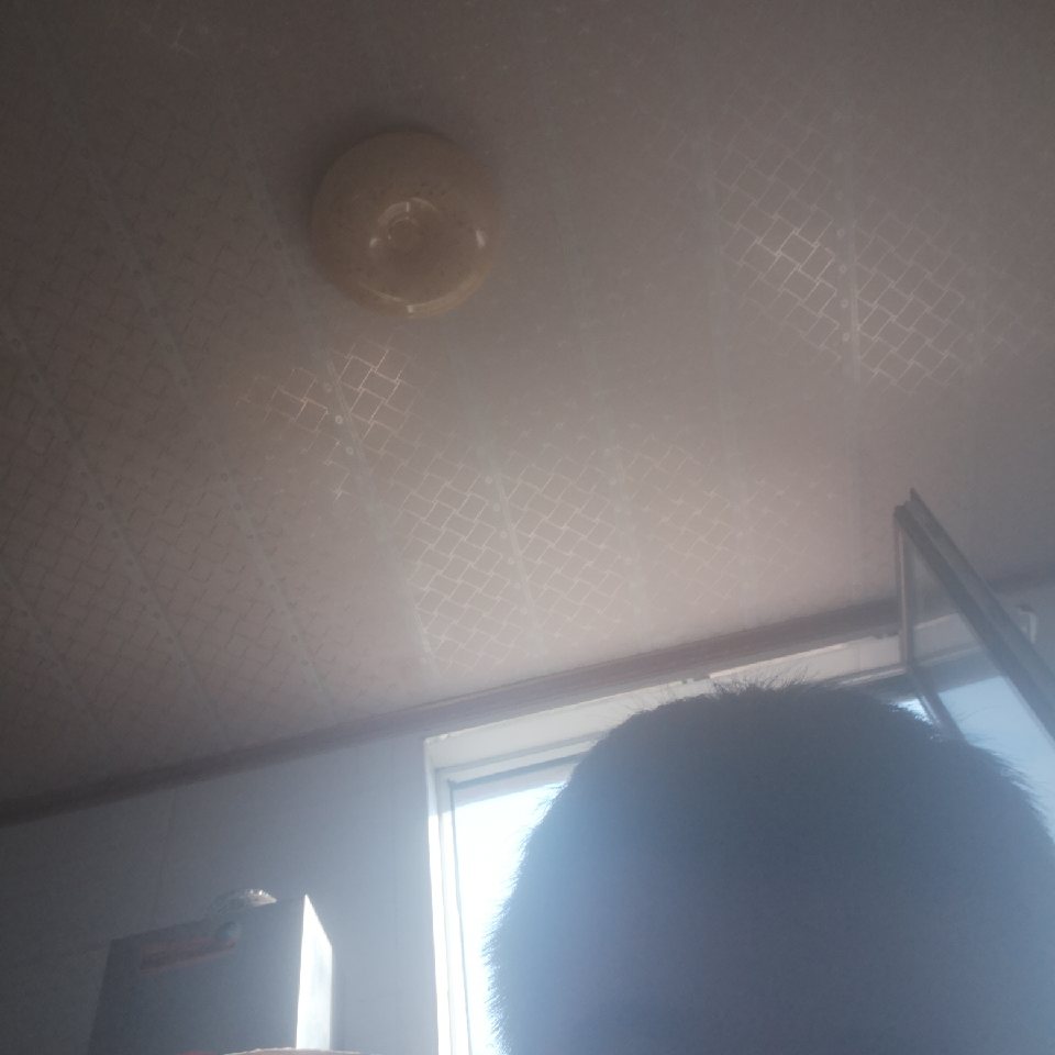 ⋛狮子座阿仔海报