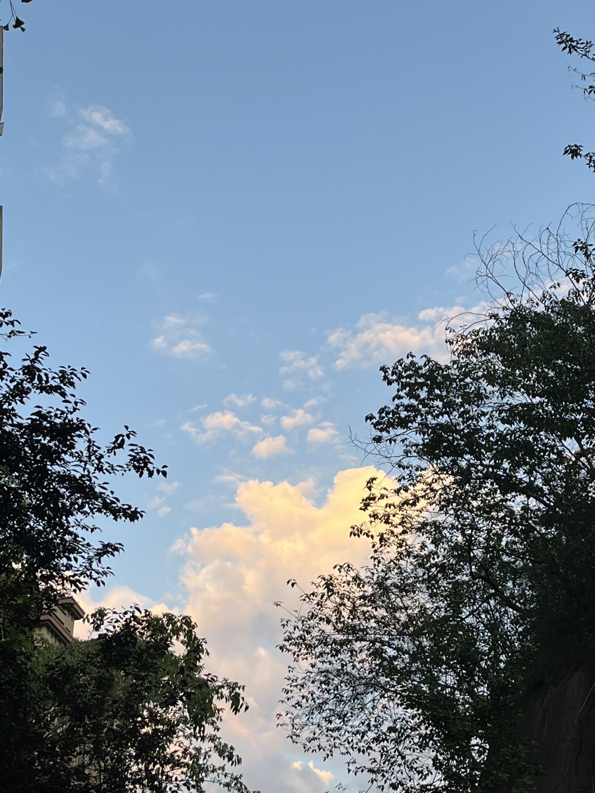 苏酥🫧主播图片