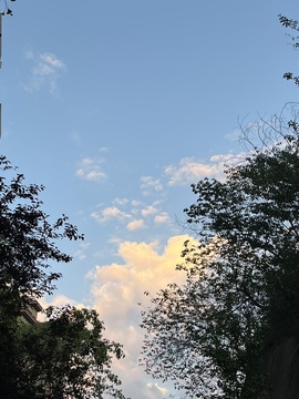 苏酥🫧主播照片