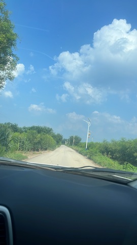 安然早九午三晚八点半的图片