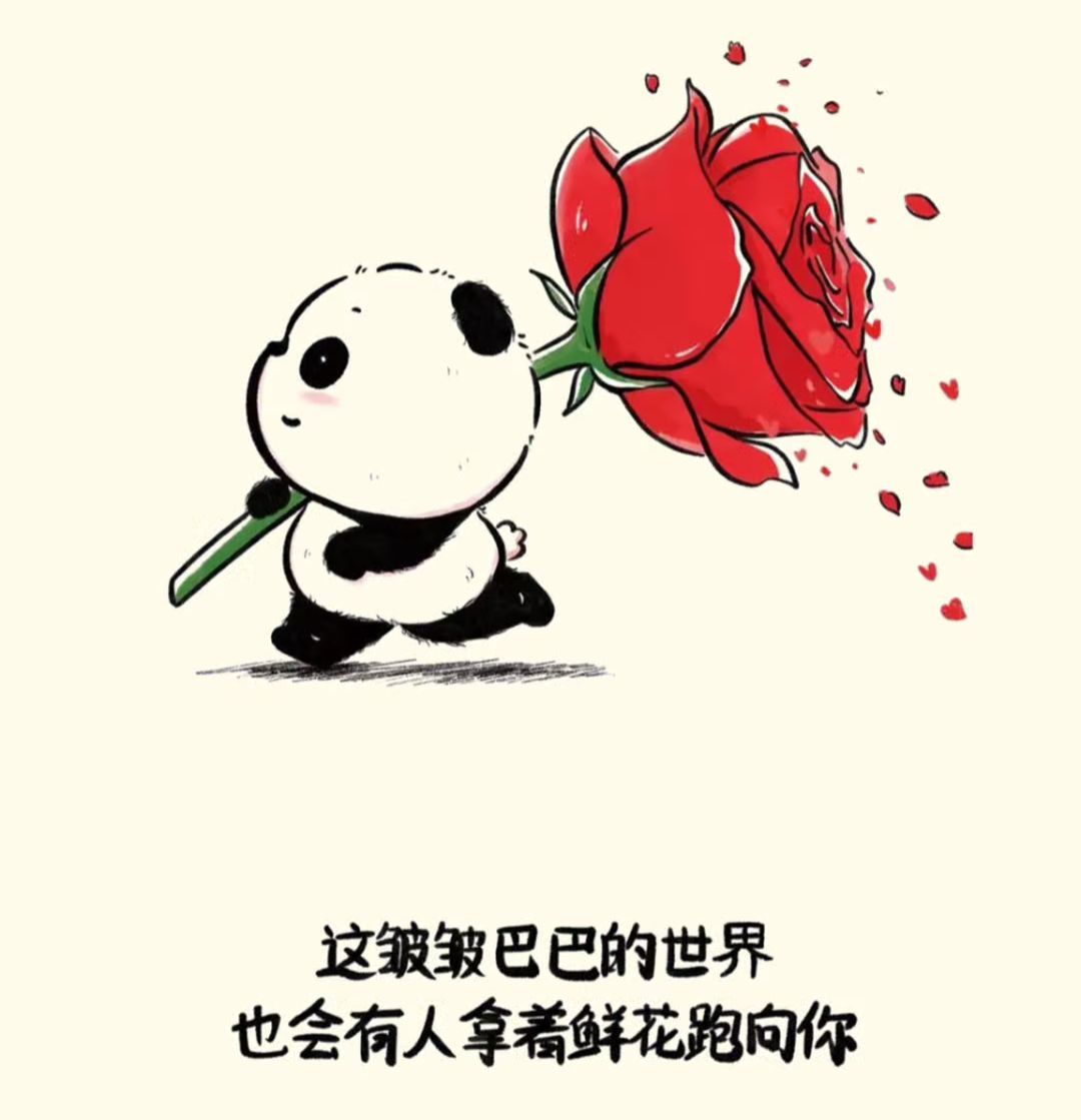 茶茶幸运星主播图片