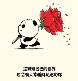 茶茶幸运星主播照片