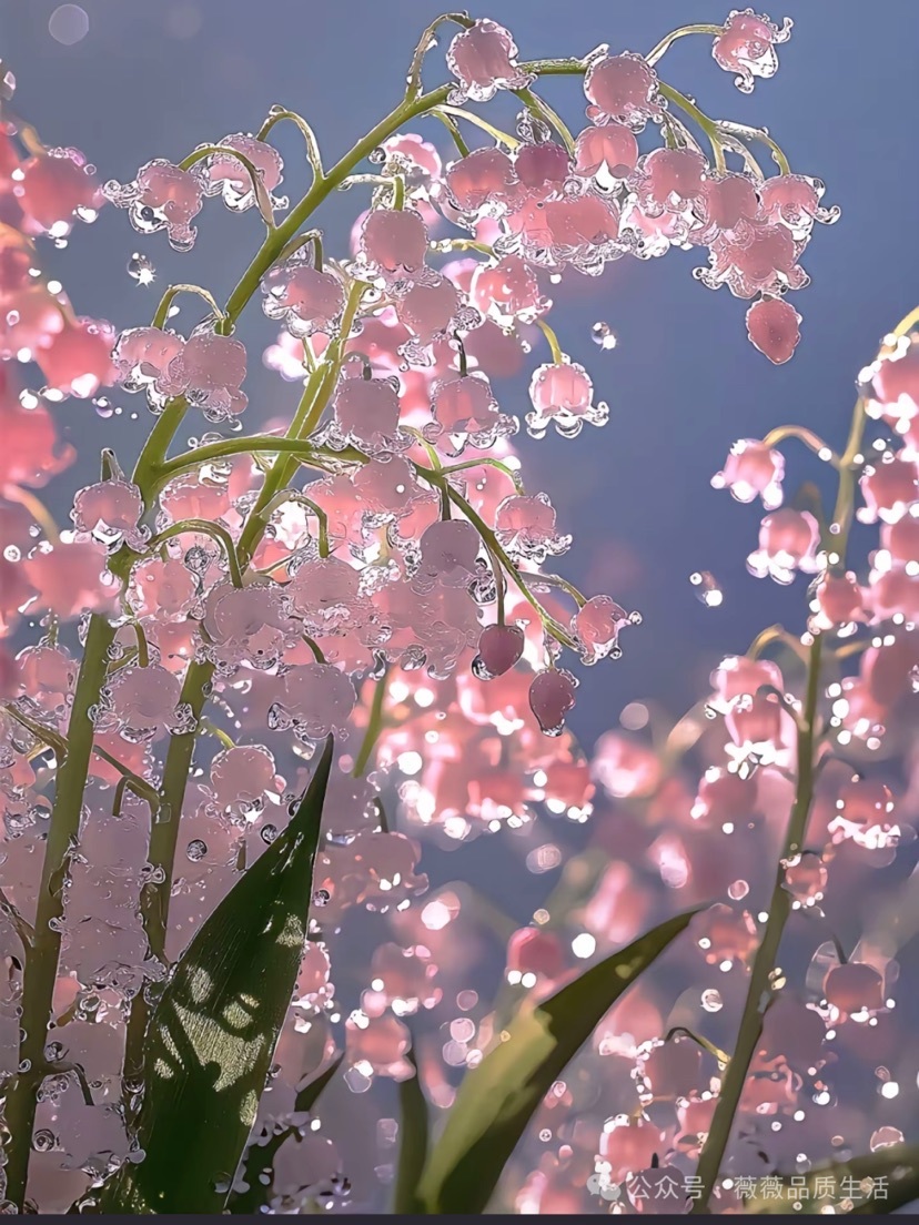半糖”💕微甜~的图片