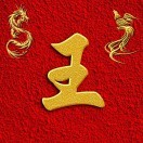 老王rx