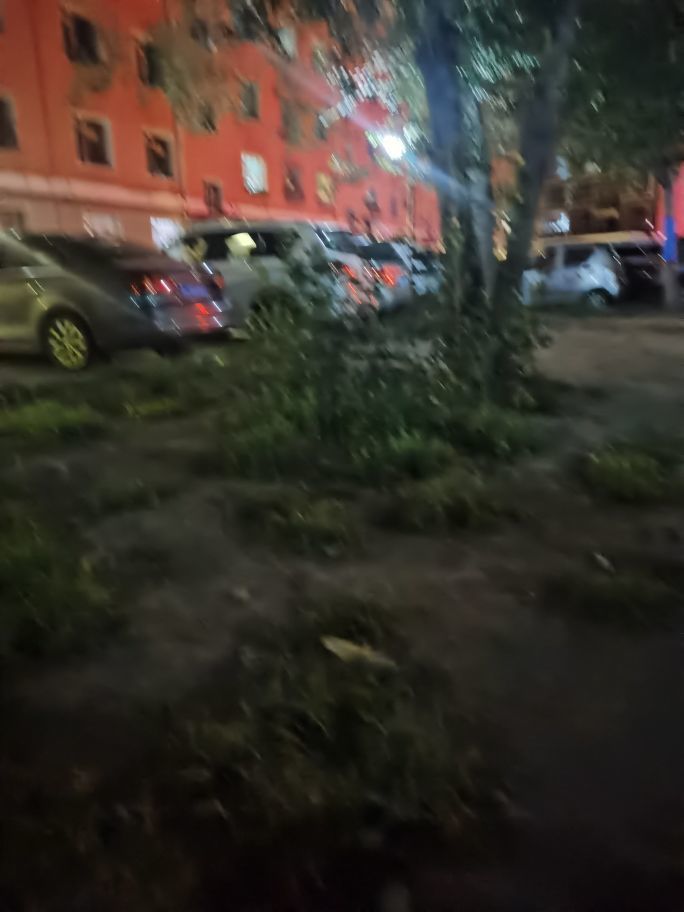 天王盖地虎不一样烟火的图片