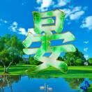 国举s