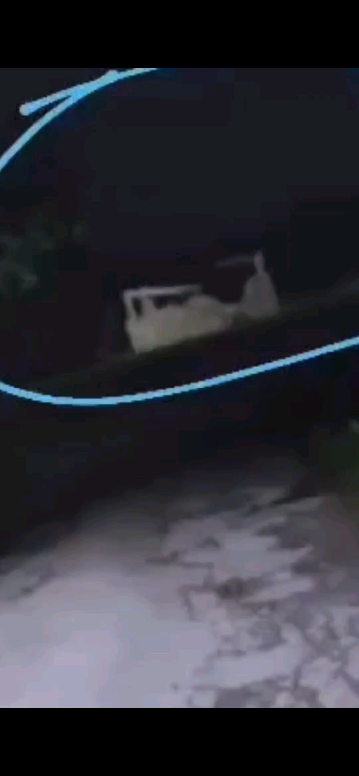 大半夜的有人在偷东西