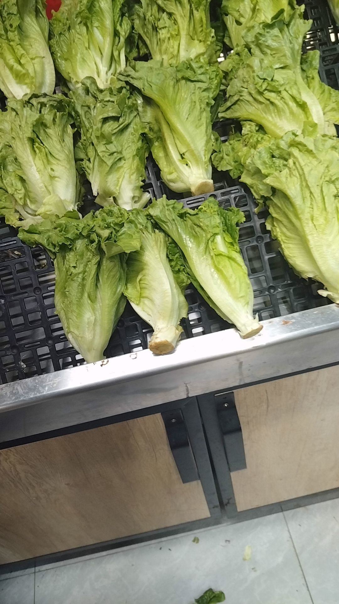 优选代理孙尚香的图片