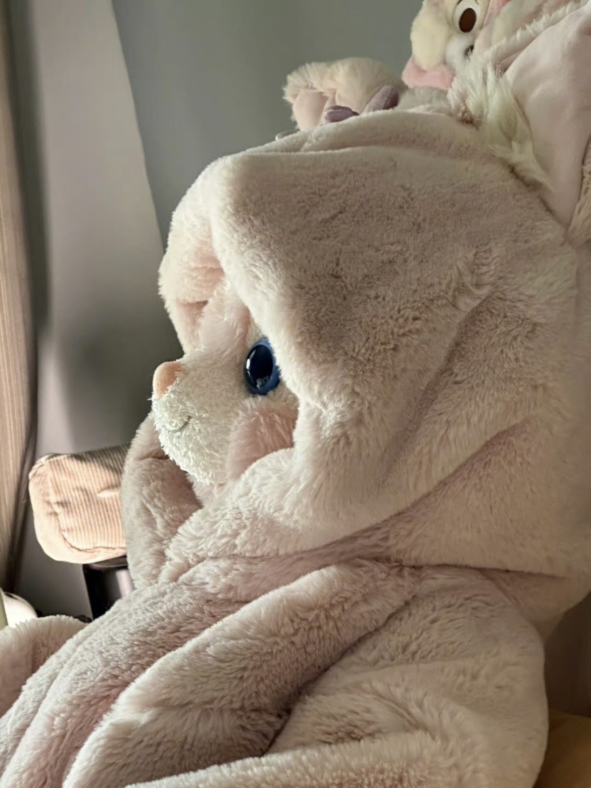 洁儿宝宝💗的图片