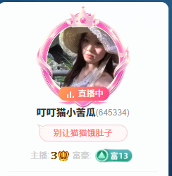 叮叮猫小苦瓜主播图片