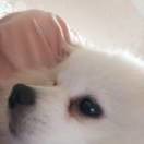 自由人生ms3
