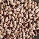 垦丰农业科技有限公司