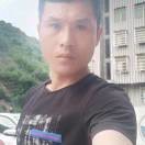 会飞的鱼《四季果园》的头像