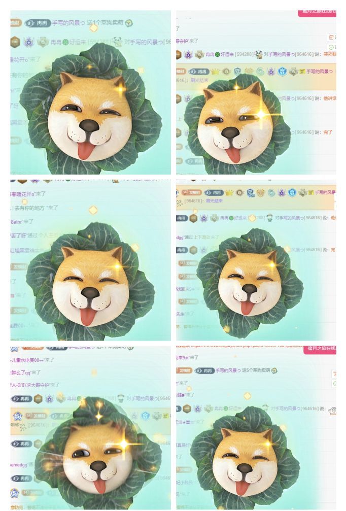 冉冉🍀好运来的图片