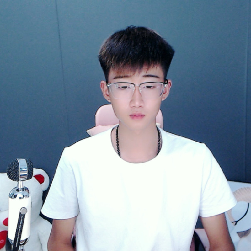 朱才子海报