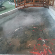 爱吃猫的鱼🐟🐠